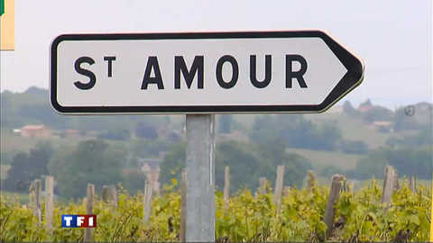Panneau d'entrée du village de Saint-Amour